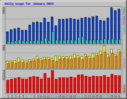 Daily usage for January 2024