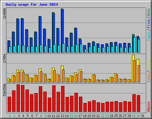 Daily usage for June 2024