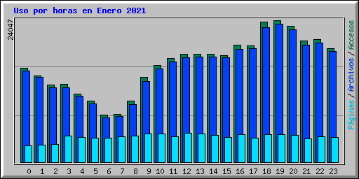 Uso por horas en Enero 2021