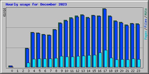 Hourly usage for December 2023