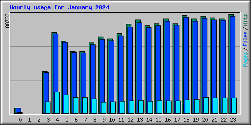 Hourly usage for January 2024