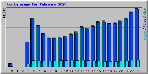 Hourly usage for February 2024