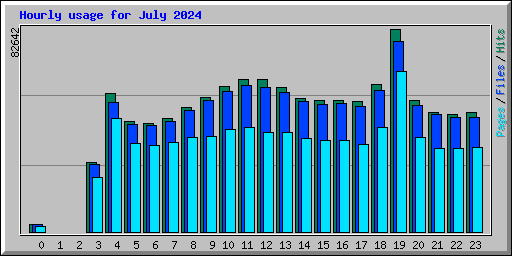 Hourly usage for July 2024