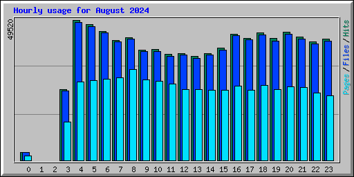 Hourly usage for August 2024