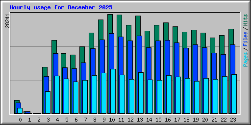 Hourly usage for December 2025