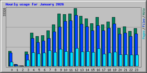 Hourly usage for January 2026