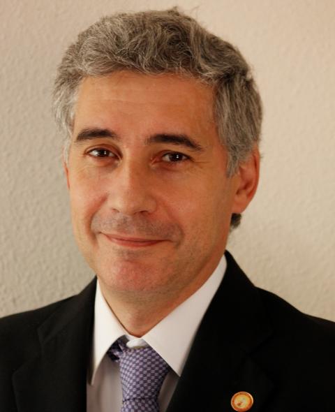 Miembro de Gobierno